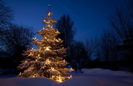 22. 12. 2025 - 2. 1. 2026 Vánoční prázdniny