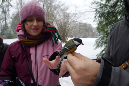 „Ptáci na krmítku“