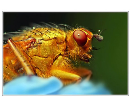 20. 3. " Mezinárodní den štěstí "