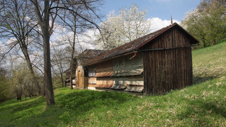 22. 6.  Výukový program ve včelíně