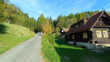 Lesem nelesem