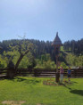 /album/kvetinovy-ohnostroj/img-20250502-110612-jpg/