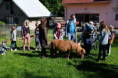 /album/domaci-zvirata-na-farme-zerlina/dscf2532-jpg/
