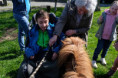 /album/domaci-zvirata-na-farme-zerlina/dscf2534-jpg/