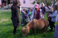 /album/domaci-zvirata-na-farme-zerlina/dscf2542-jpg/