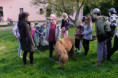 /album/domaci-zvirata-na-farme-zerlina/dscf2544-jpg/