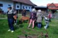 /album/domaci-zvirata-na-farme-zerlina/dscf2549-jpg/