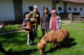/album/domaci-zvirata-na-farme-zerlina/dscf2552-jpg/