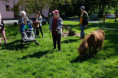 /album/domaci-zvirata-na-farme-zerlina/dscf2558-jpg/