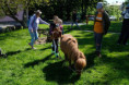 /album/domaci-zvirata-na-farme-zerlina/dscf2563-jpg/