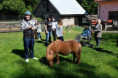/album/domaci-zvirata-na-farme-zerlina/dscf2565-jpg/