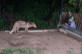 /album/poznavame-dravce/dscf2486-jpg/