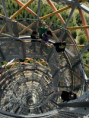 /album/vylet-na-vartovnu/messenger-creation-0d8a8a9e-038b-4f86-995b-58ba7014f25c-jpeg/