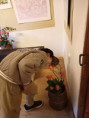 /album/kvetinovy-ohnostroj1/img20260430095654-jpg/