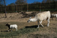 /album/zachranna-stanice/dscf5010-jpg1/