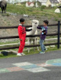 /album/vylet-sd-prakticke-do-faunaparku/img-20260507-wa0003-jpg/