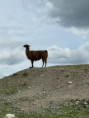 /album/vylet-sd-prakticke-do-faunaparku/img-20260507-wa0014-jpg/