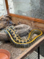 /album/vylet-sd-prakticke-do-faunaparku/img-20260507-wa0017-jpg/