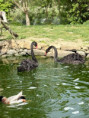/album/vylet-sd-prakticke-do-faunaparku/img-20260507-wa0019-jpg/