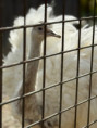 /album/vylet-sd-prakticke-do-faunaparku/img-20260507-wa0024-jpg/