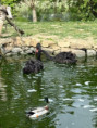 /album/vylet-sd-prakticke-do-faunaparku/img-20260507-wa0026-jpg/