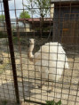 /album/vylet-sd-prakticke-do-faunaparku/img-20260507-wa0027-jpg/