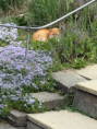 /album/vylet-sd-prakticke-do-faunaparku/img-20260507-wa0037-jpg/