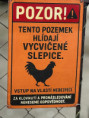 /album/vylet-sd-prakticke-do-faunaparku/img-20260507-wa0039-jpg/