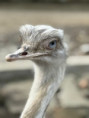 /album/vylet-sd-prakticke-do-faunaparku/img-20260507-wa0043-jpg/
