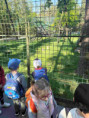 /album/pdms-zoo-olomouc-den-v-risi-zvirat/20260519-073314511-ios-00-jpg/