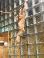 /album/pdms-zoo-olomouc-den-v-risi-zvirat/20260519-074209409-ios-jpeg/
