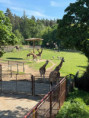 /album/pdms-zoo-olomouc-den-v-risi-zvirat/20260519-074926970-ios-jpg/