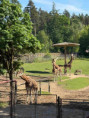 /album/pdms-zoo-olomouc-den-v-risi-zvirat/20260519-075159095-ios-jpg/