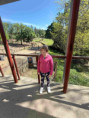 /album/pdms-zoo-olomouc-den-v-risi-zvirat/20260519-075355461-ios-jpg/