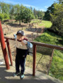 /album/pdms-zoo-olomouc-den-v-risi-zvirat/20260519-075451022-ios-jpg/