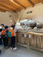 /album/pdms-zoo-olomouc-den-v-risi-zvirat/20260519-080350101-ios-jpg/