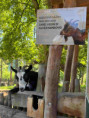 /album/pdms-zoo-olomouc-den-v-risi-zvirat/20260519-080957519-ios-jpg/