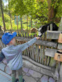 /album/pdms-zoo-olomouc-den-v-risi-zvirat/20260519-081224778-ios-jpg/