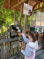 /album/pdms-zoo-olomouc-den-v-risi-zvirat/20260519-081238281-ios-jpg/