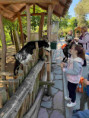 /album/pdms-zoo-olomouc-den-v-risi-zvirat/20260519-081315627-ios-00-jpg/
