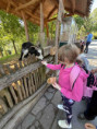 /album/pdms-zoo-olomouc-den-v-risi-zvirat/20260519-081530943-ios-jpg/