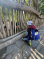 /album/pdms-zoo-olomouc-den-v-risi-zvirat/20260519-081613816-ios-jpg/