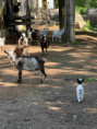 /album/pdms-zoo-olomouc-den-v-risi-zvirat/20260519-082017500-ios-jpg/