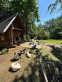 /album/pdms-zoo-olomouc-den-v-risi-zvirat/20260519-082219153-ios-jpg/