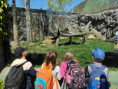 /album/pdms-zoo-olomouc-den-v-risi-zvirat/20260519-090419828-ios-jpg/
