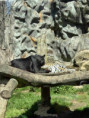 /album/pdms-zoo-olomouc-den-v-risi-zvirat/20260519-090500103-ios-jpg/