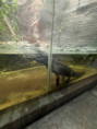/album/pdms-zoo-olomouc-den-v-risi-zvirat/20260519-090952393-ios-jpg/
