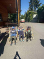 /album/pdms-zoo-olomouc-den-v-risi-zvirat/20260519-091827474-ios-jpg/