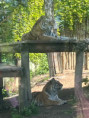 /album/pdms-zoo-olomouc-den-v-risi-zvirat/att-yp0s1teawq4ihyh0odygrwusus46-lgdtaoc2gh-rx4-jpg/
