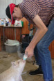/album/farma-vsemi-smysly/r0002546-jpg/